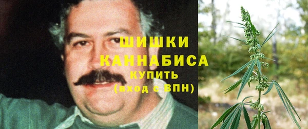 хмурый Вяземский